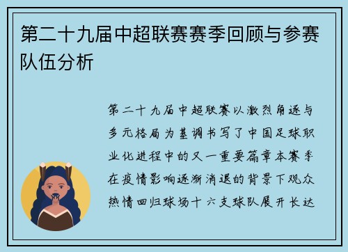 第二十九届中超联赛赛季回顾与参赛队伍分析